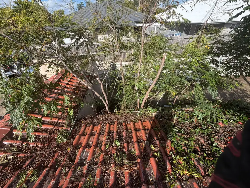 Before cleaning